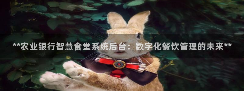 凯时平台app