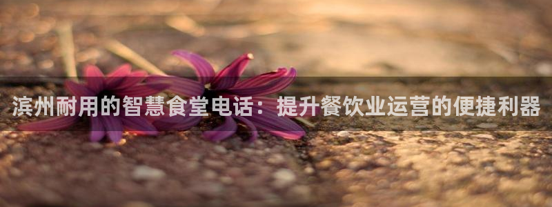 凯时登录