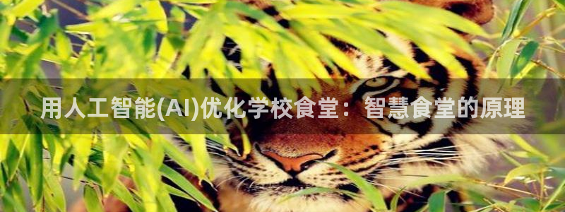 尊龙ktv怎么样