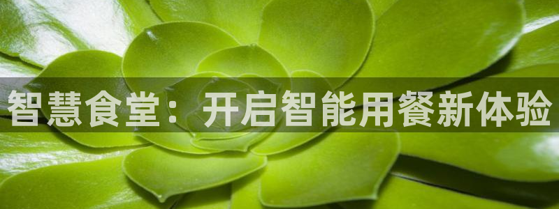 尊龙凯时美金能提取吗