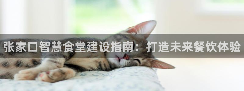 尊龙 中国
