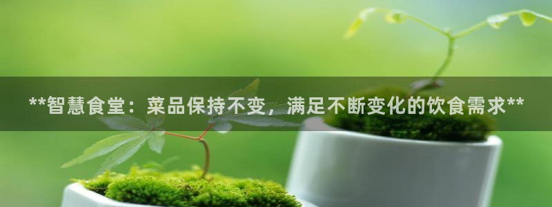 KB88凯时官网登录：**智慧食堂：菜品保持不变，满足不断变