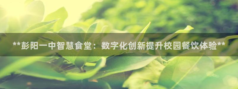 尊龙凯时口碑好吗