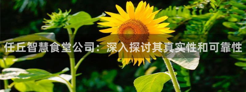 尊龙官网下载：任丘智慧食堂公司：深入探讨其真实性和可靠性