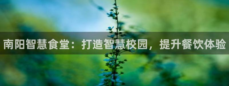 尊龙官方app下载：南阳智慧食堂：打造智慧校园，提升餐饮体验