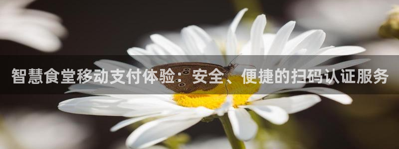 kb88凯时SO权威AG发财网