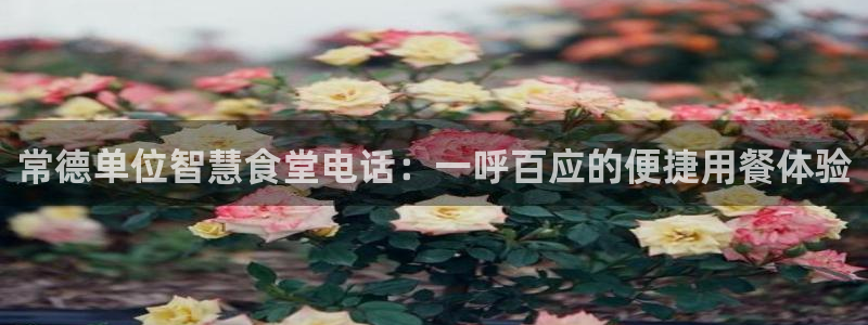 尊龙凯时输钱的原因