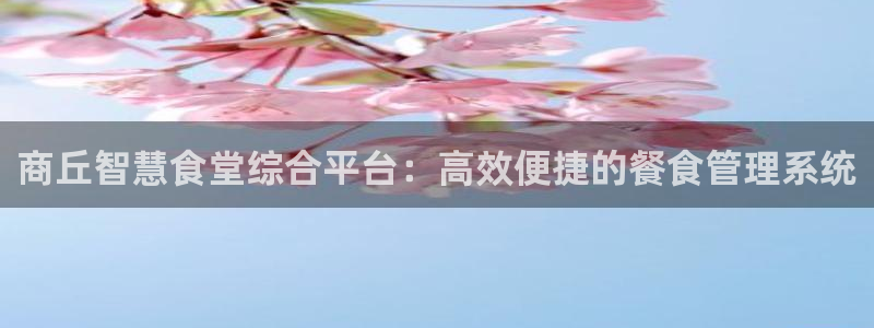 尊龙人生就是博旧版现