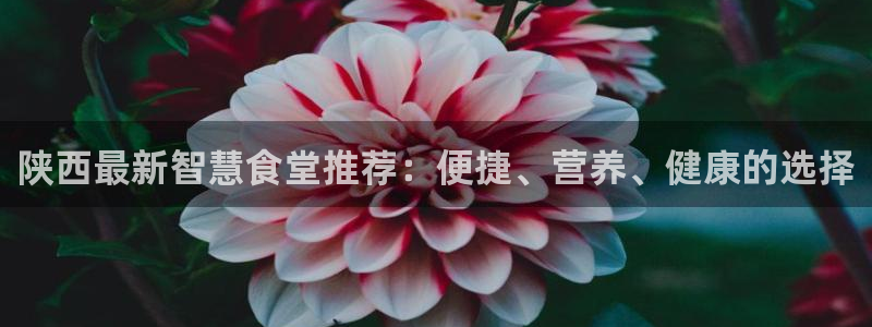 kb88凯时唯一官网注册