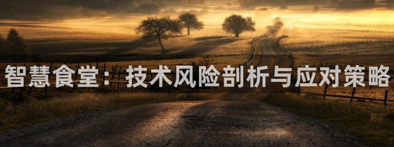 尊龙凯时提款冻卡吗：智慧食堂：技术风险剖析与应对策略
