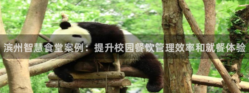 z6尊龙官方网站：滨州智慧食堂案例：提升校园餐饮管理效率和就