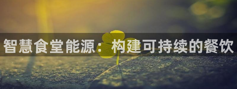 尊龙人生就是博一下阿扎尔：智慧食堂能源：构建可持续的餐饮