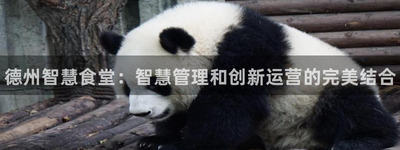 尊龙凯时能不能提现?