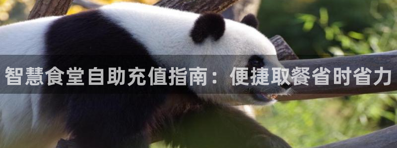 尊龙会：智慧食堂自助充值指南：便捷取餐省时省力