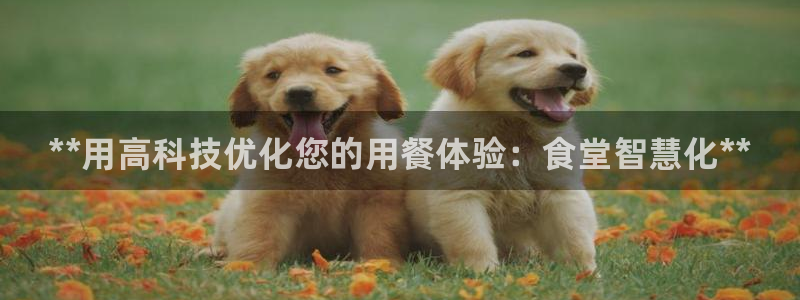 尊龙d88官网登录苹果版下载：**用高科技优化您的用餐体验：